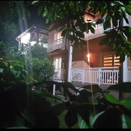 Gs ***** * Zavidovici