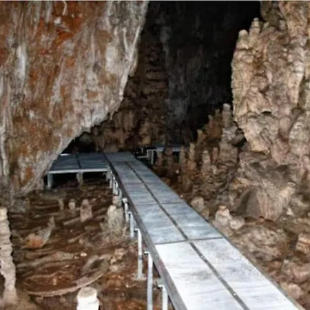 Gs ***** Apartment *