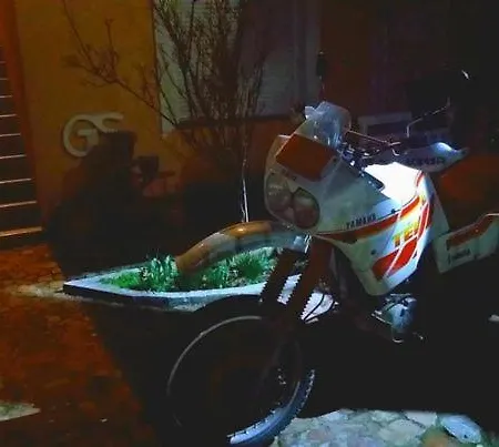 Gs ***** * Zavidovici