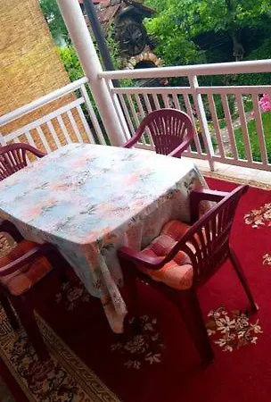 Gs ***** * Zavidovici