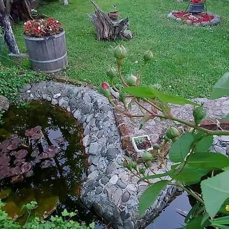 Gs ***** * Zavidovici