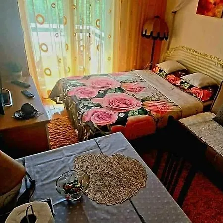Gs ***** * Zavidovici