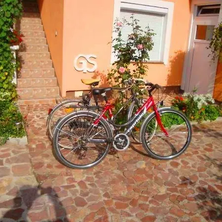 Gs ***** * Zavidovici