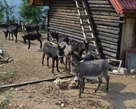 Apartment Gs ***** *