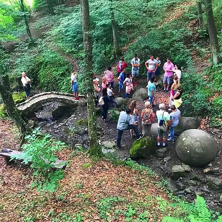 Gs ***** * Zavidovici