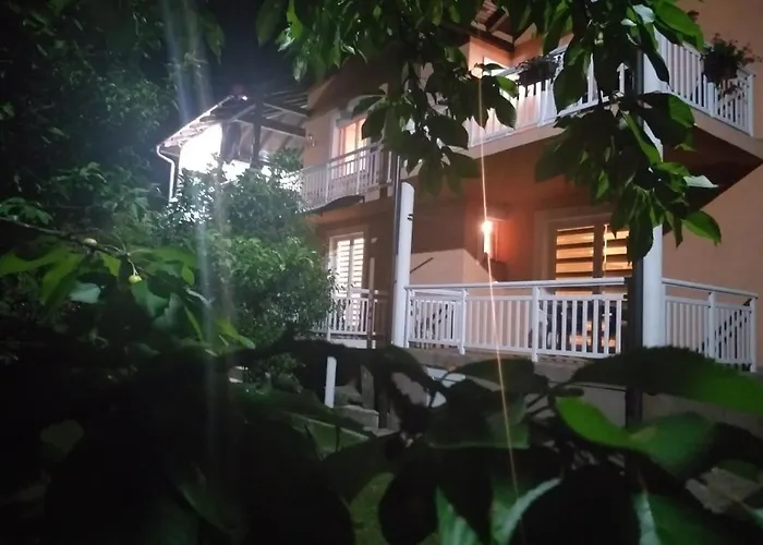 Gs ***** * Zavidovici