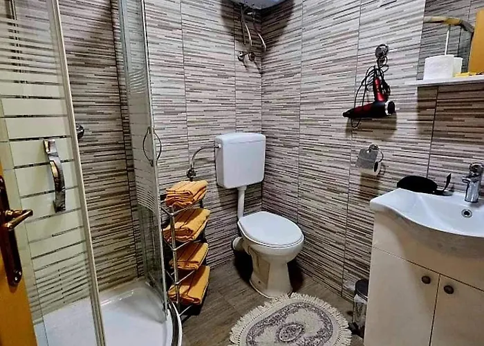 Gs ***** * Zavidovici