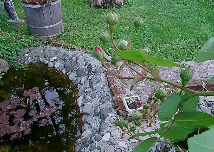 Gs ***** * Zavidovici