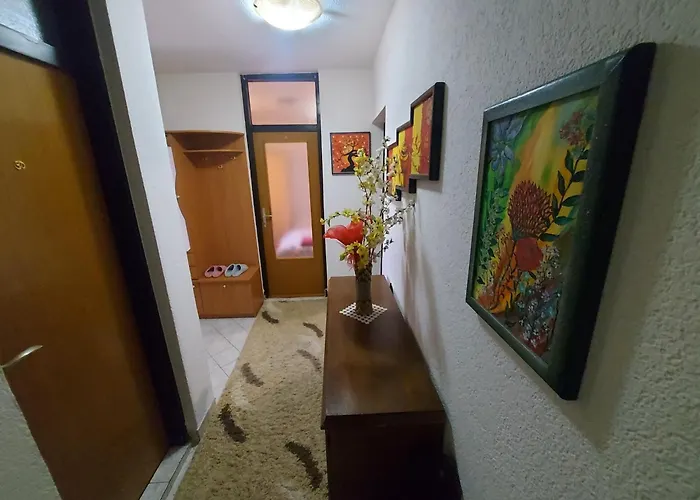 Gs ***** Apartmán Zavidovici