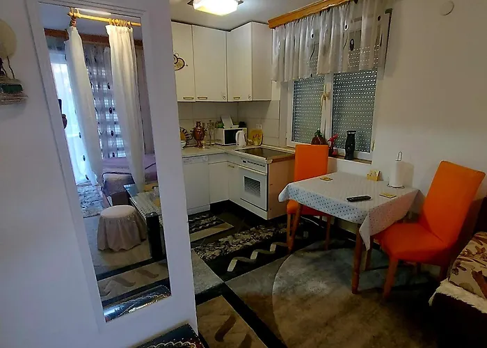 Gs ***** * Zavidovici