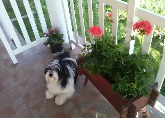 Gs ***** Apartmán Zavidovici