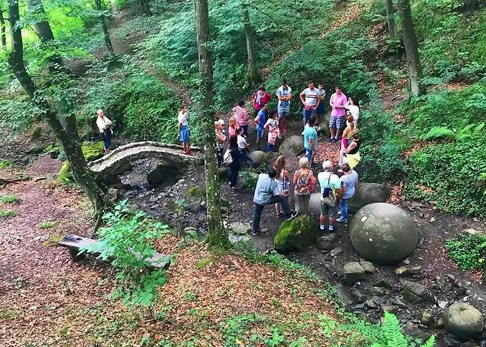 Gs ***** * Zavidovici